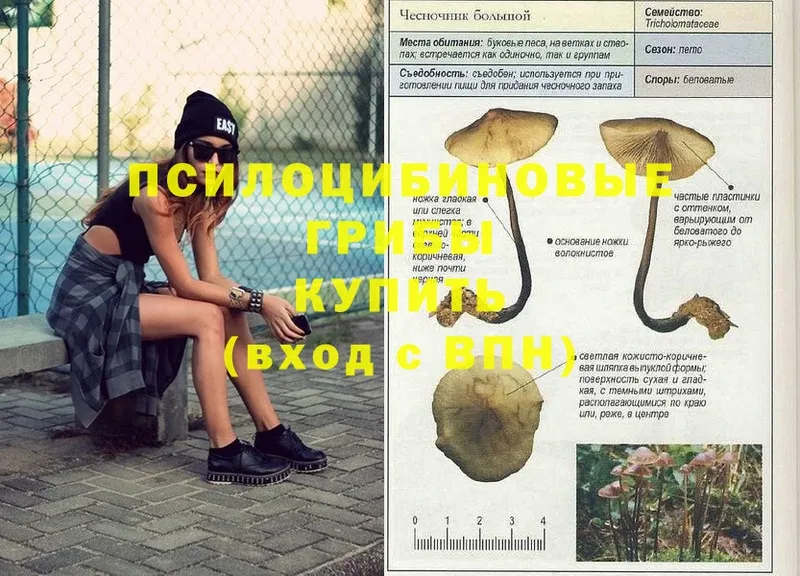 Псилоцибиновые грибы MAGIC MUSHROOMS  купить   Зеленокумск 